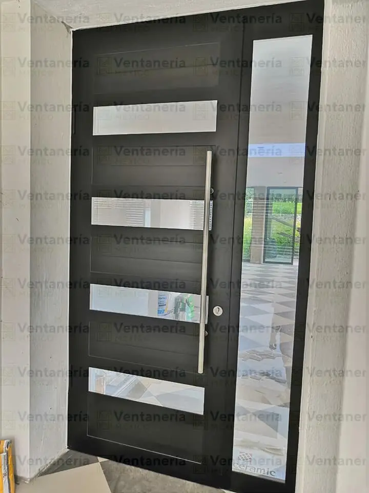 Puerta Principal de Seguridad